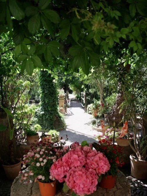 Lush Mediterranean garden path